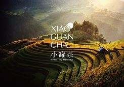 女123号宣传片《小罐茶》
